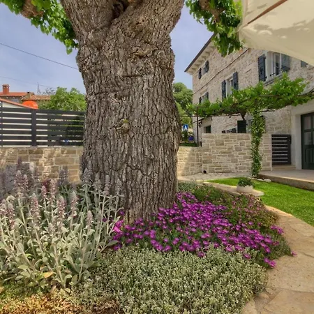 Mit Privatpool Fuer 8 Personen Ca 123 Qm In Dracevac, Istrien Istrische Riviera Holiday home Porec